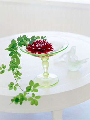 2008410163133_100408_flower